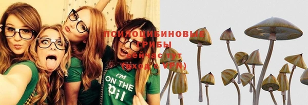 не бодяженный Каменногорск