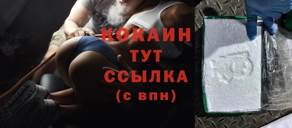 шишки Инсар