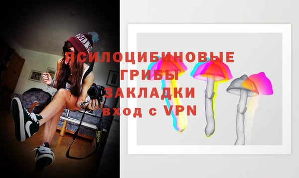 ECSTASY Каменск-Шахтинский
