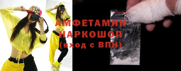 шишки Инсар