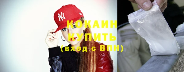 шишки Инсар