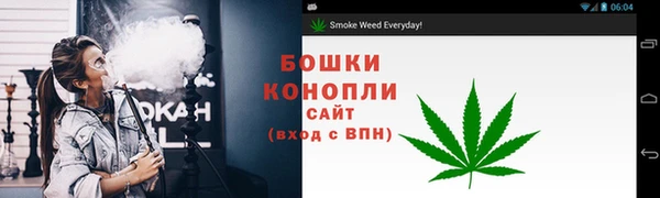 шишки Инсар