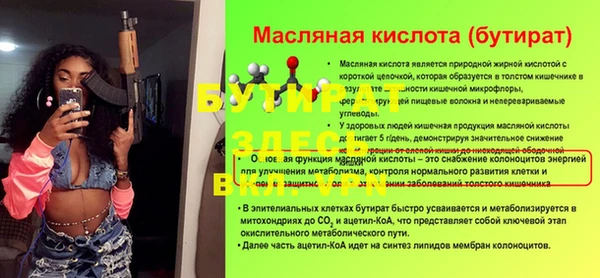 шишки Инсар