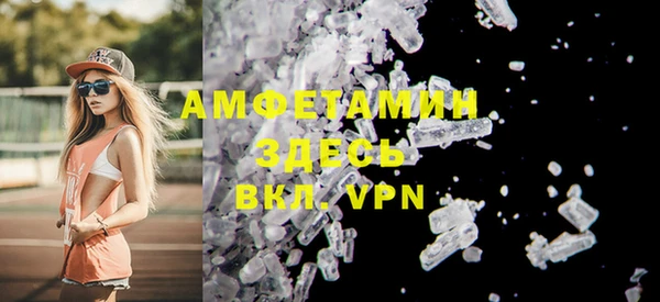 шишки Инсар