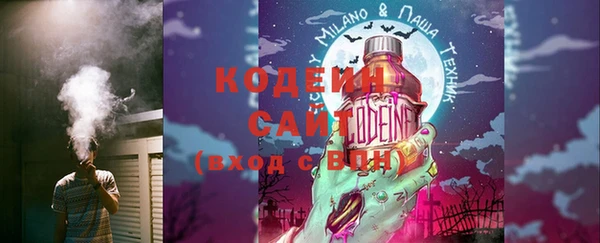 дмт Каменка