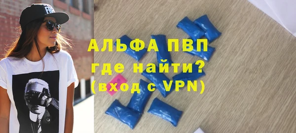 шишки Инсар